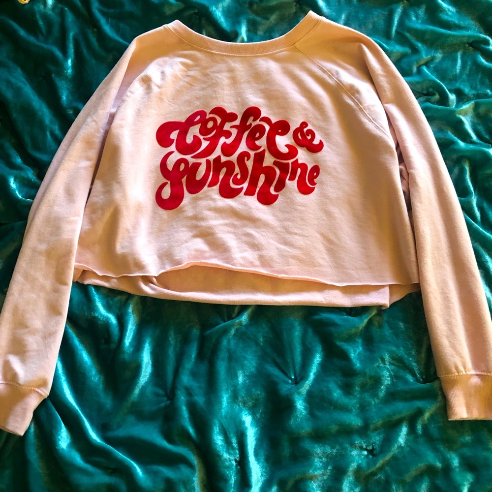 Wildfox cropped sweat shirt size L
